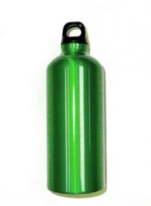 Bison 0.6 L Aluminum Water Bottle (Green)
