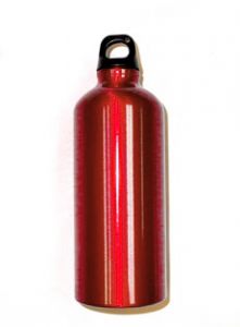 Bison 0.6 L Aluminum Water Bottle (Red)